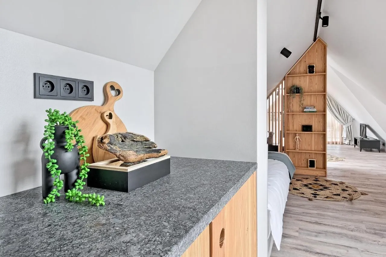 Harda House Friends & Spa Zakopane Aparthotel